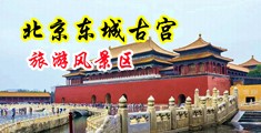 骚货尻屄视频中国北京-东城古宫旅游风景区